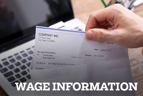 Wage information